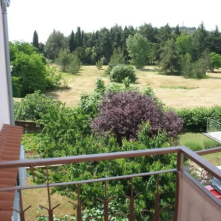 Apartament Noki21